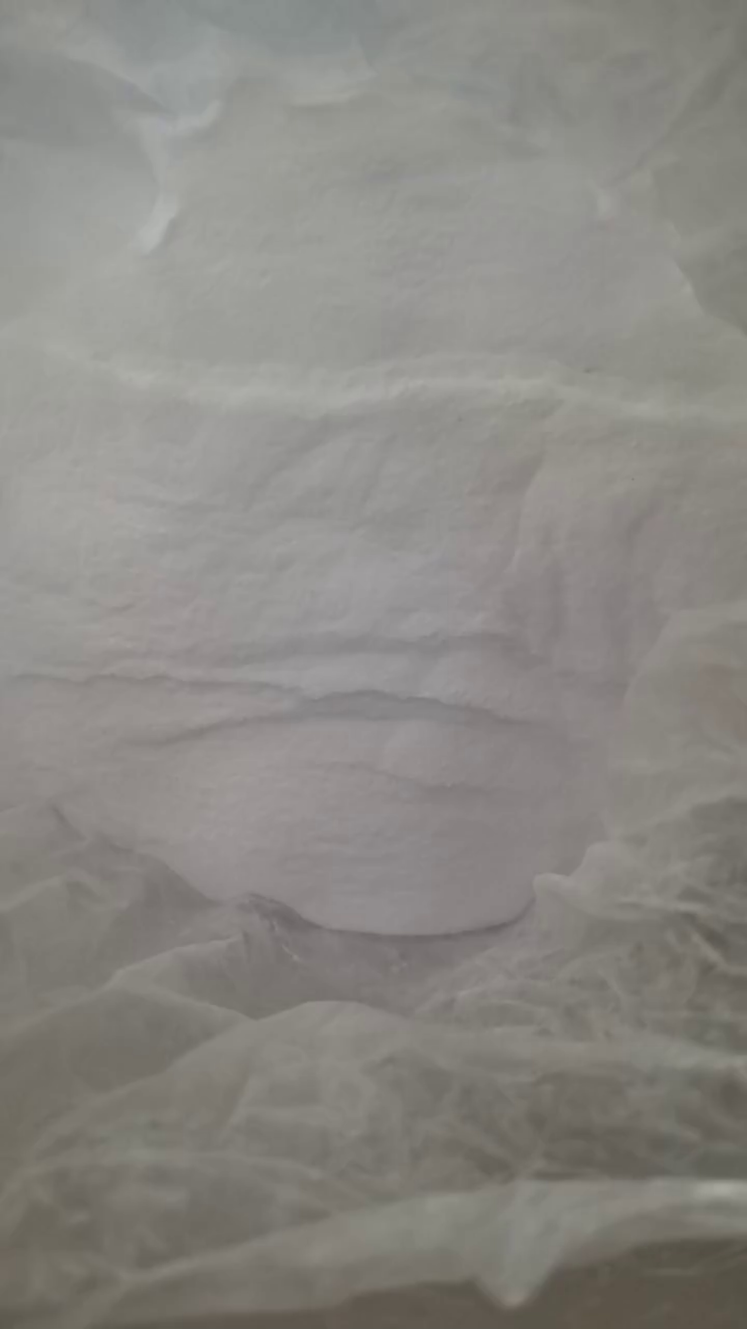 SHANDONG HONGFU CHEMICALS CO., LTD.