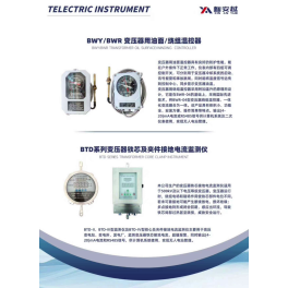 仪表产品系列