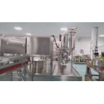 CCS-8A SELF STANDING BAG FILLING AND CAPPING