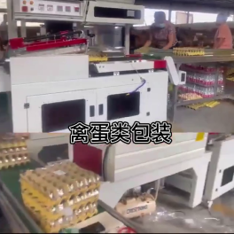 Sealing and cutting shrink machine