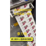 DP2125 DIGITAL PRINTING LABEL ALL-IN-ONE MACHINE