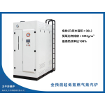 全预混超低氮燃气蒸汽炉