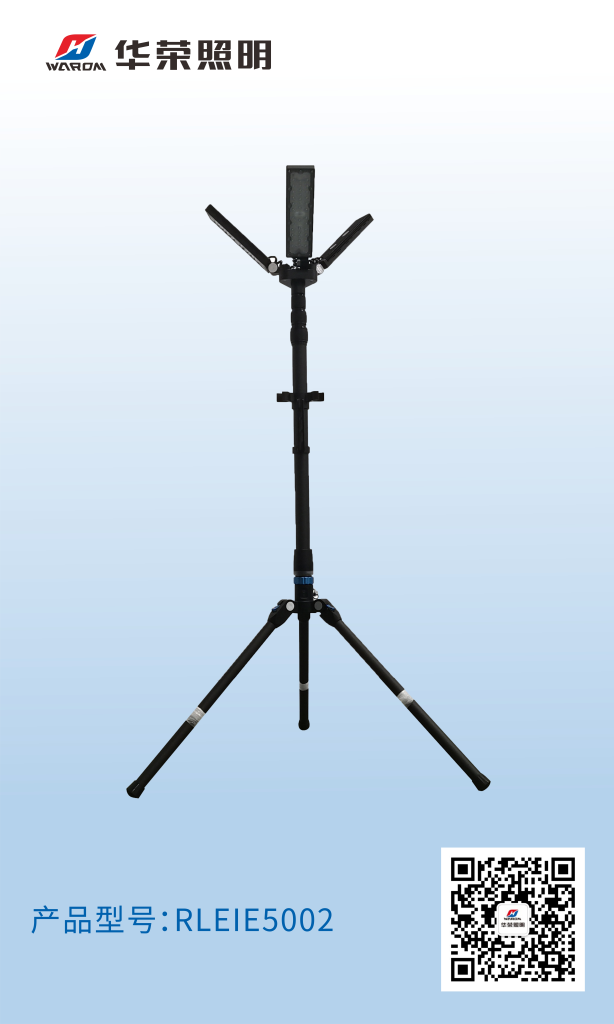 RLEIE5002