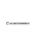 山东七星电气科技发展有限公司