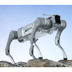 GALILEO INTELLIGENT BIONIC QUADRUPED ROBOT E1 SERIES