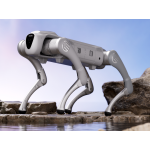 GALILEO INTELLIGENT BIONIC QUADRUPED ROBOT C1 SERIES