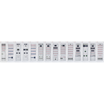 AC/DC Integrated Power Supply System
