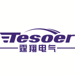 TINGXIANG ELECTRIC (SHANGHAI) CO., LTD. 