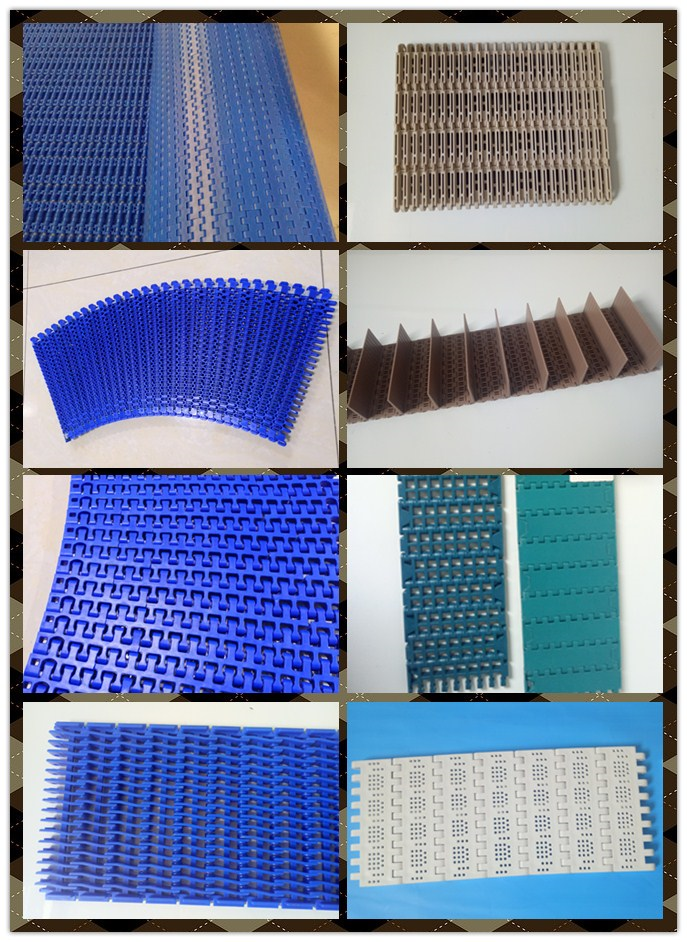 MODULE CONVEYOR BELT