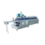 WRAP AROUND VERTICAL BOX PACKING MACHINE