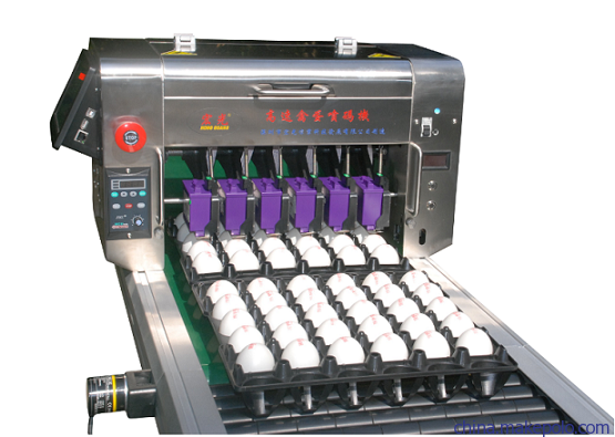Egg coding machine