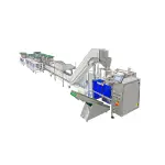 AUTOMATIC PACKAGING MACHINE WITH 5 SET...