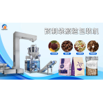 SUN-GD260 PRE-MADE BAG GRANULE PACKAGING MACHINE