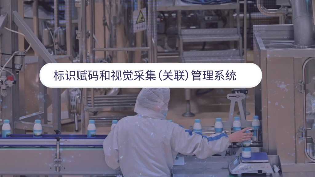 标识赋码和视觉采集（关联）管理系统