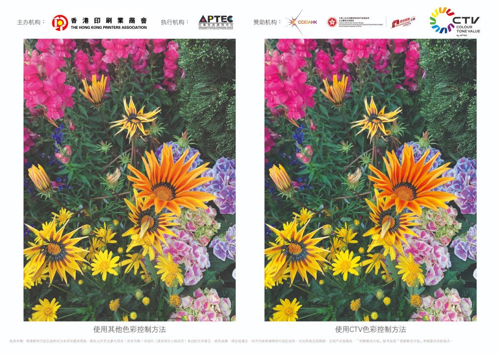 PRINTING COLOUR CONTROL METHOD - CTV