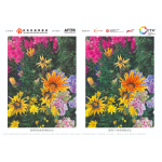 PRINTING COLOUR CONTROL METHOD - CTV