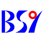 Logo of SHANDONG BAISHENGYUAN GROUP CO., LTD.