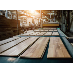 LIGHT-DUTY CONVEYOR BELT