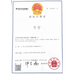 FOSHAN NANHAI NIUGAO RESIN CO., LTD.